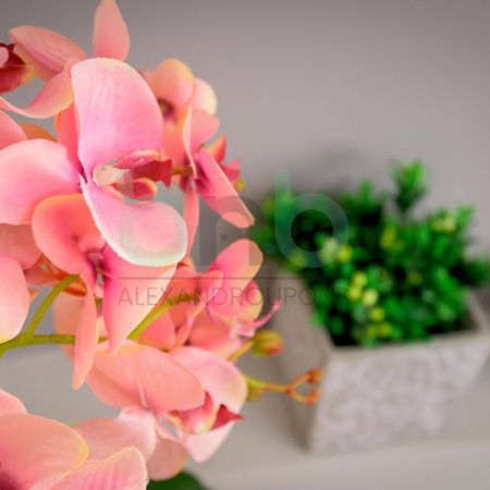 The Floral Suite อเล็กซานโดรโพลิส ภายนอก รูปภาพ