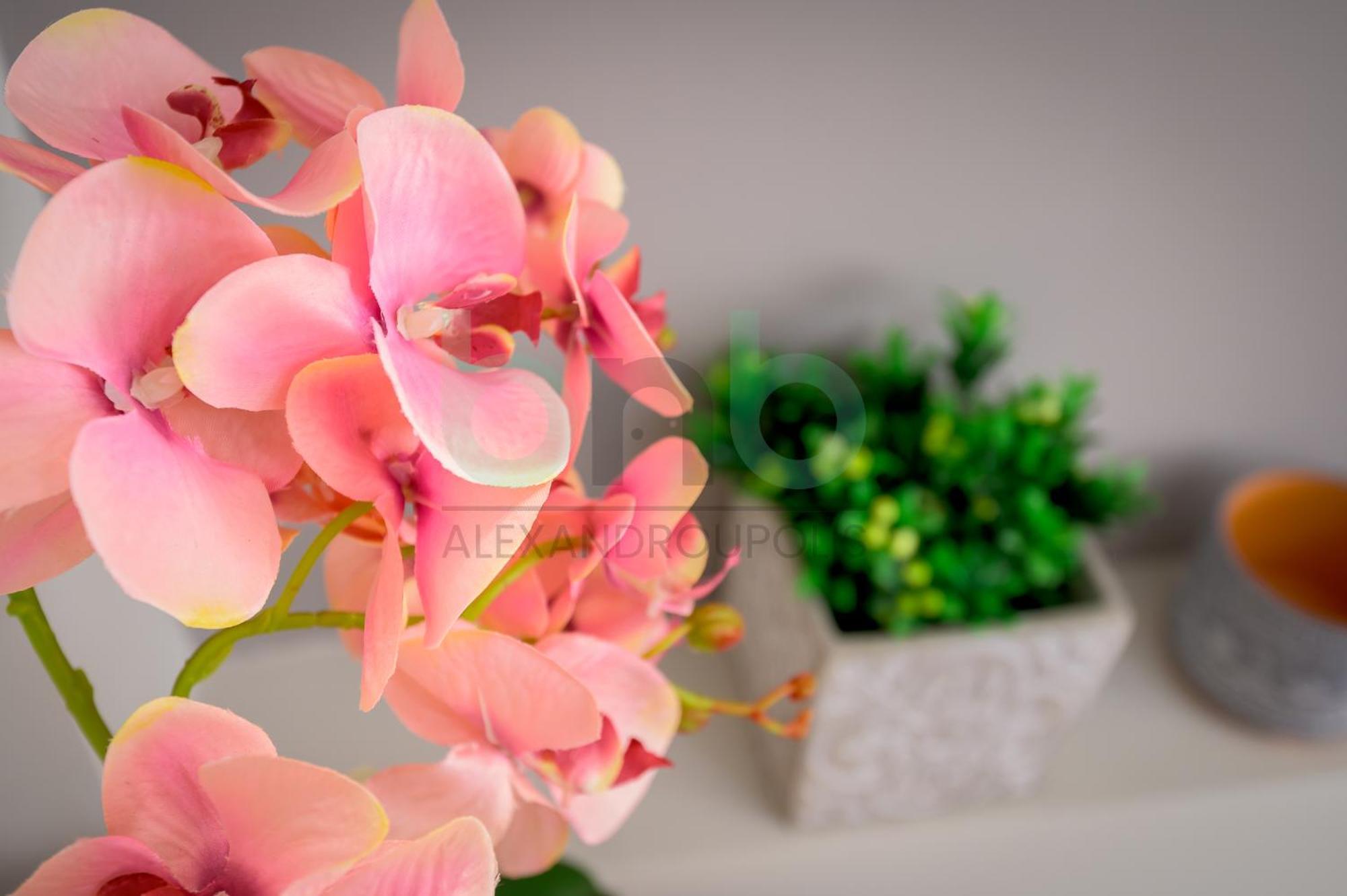 The Floral Suite อเล็กซานโดรโพลิส ภายนอก รูปภาพ