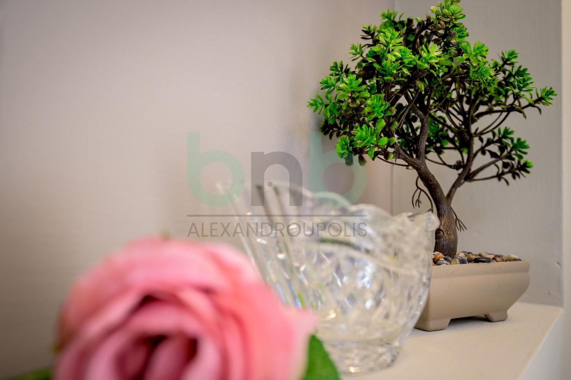 The Floral Suite อเล็กซานโดรโพลิส ภายนอก รูปภาพ