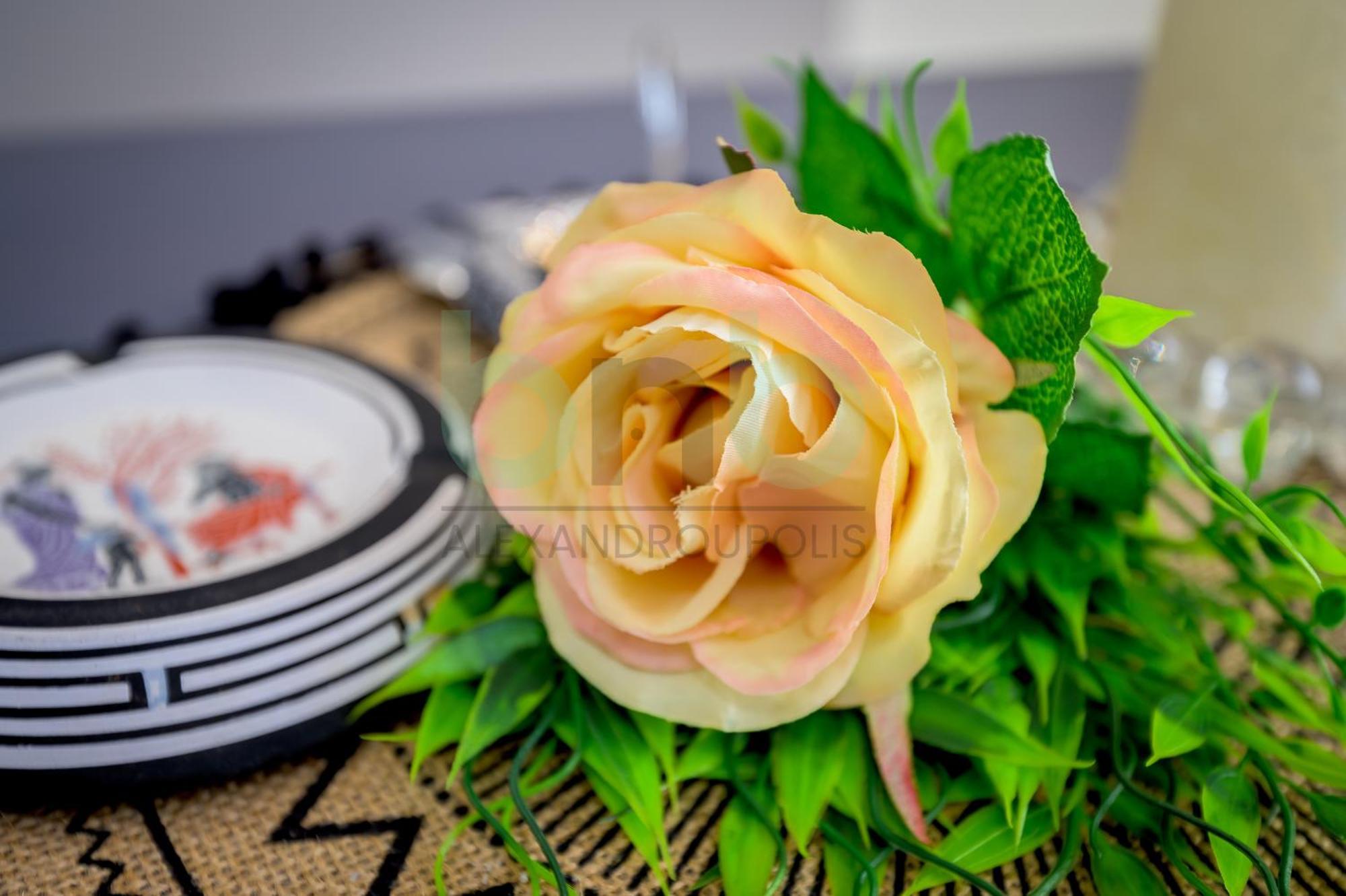 The Floral Suite อเล็กซานโดรโพลิส ภายนอก รูปภาพ